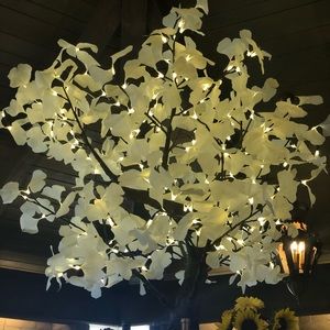 Meet your Posher, Ana